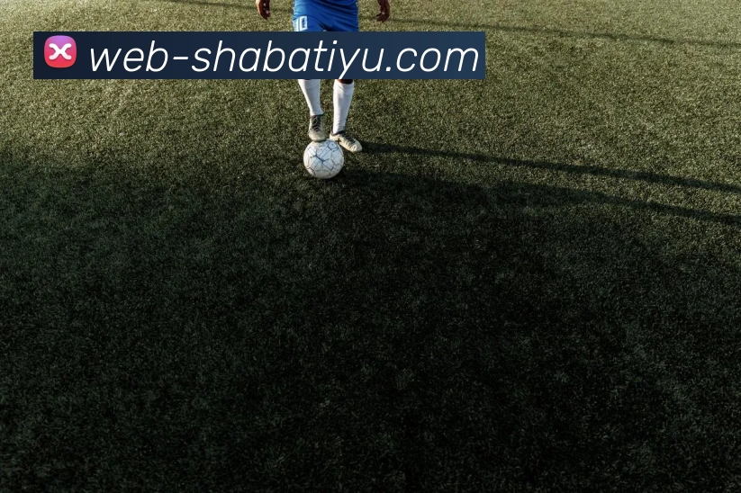 沙巴体育平台生态图